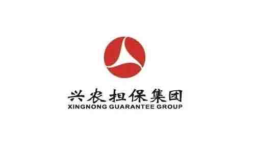 【重慶興農擔保集團】鍛造運維能力底座，精益信息化管理